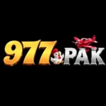 977Pak Game Dashboard image (2)